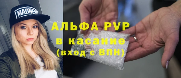 ГАЛЛЮЦИНОГЕННЫЕ ГРИБЫ Баксан
