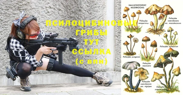 ГАЛЛЮЦИНОГЕННЫЕ ГРИБЫ Баксан